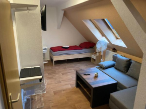 FeWo WIEKO Plauen Leibnizstr. H3, DG links
